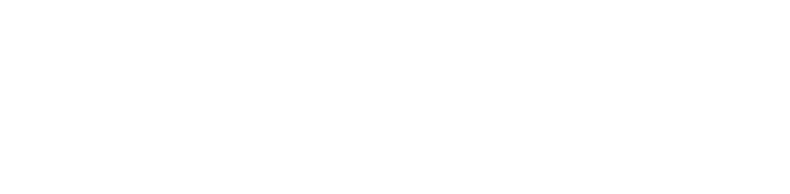 Logo proelite